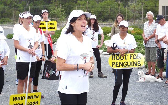 Gansbaai_Waggel_Waggel_Pikkewyne_2