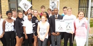 Gansbaai_Waggel_Waggel_Pikkewyne_3