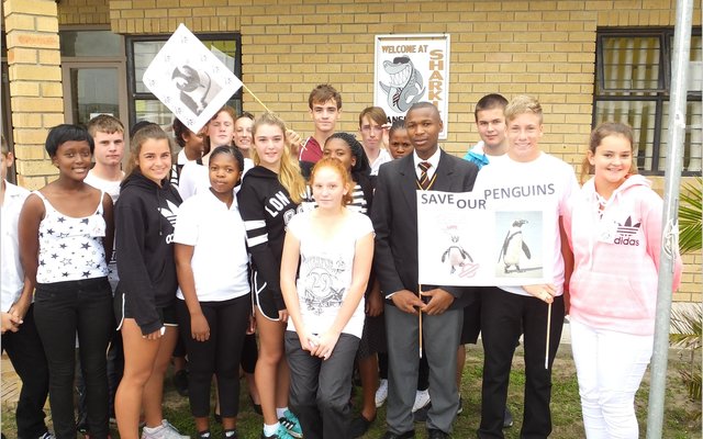 Gansbaai_Waggel_Waggel_Pikkewyne_3