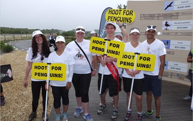 Gansbaai_Waggel_Waggel_Pikkewyne_4