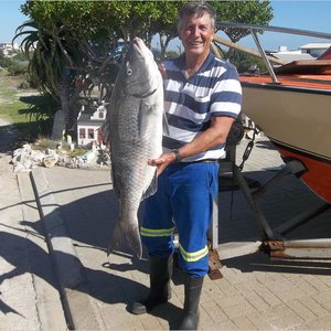 Hierdie mooi witsteenbras van 11,5 kg is agter die Eiland deur George Rowan vanaf die boot Releks 2 gevang. Dit met ‘n redelike klein hoek wat aan die oopbuig was!