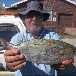 Seker nie ‘n rekord nie, maar so ‘n groot mooinooientjie (twakkie) sien jy nie aldag nie. Trevor Korte het die mooi vis vanaf Kwaailappies by Joubert se Dam gevang.   