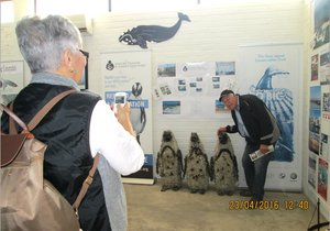 Gewilde Toerismekantoor