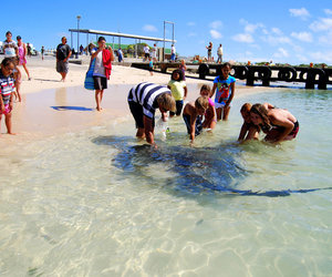 5 Fun, Free Things to Do in L’Agulhas & Struisbaai