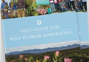 Fynbos Field Guide