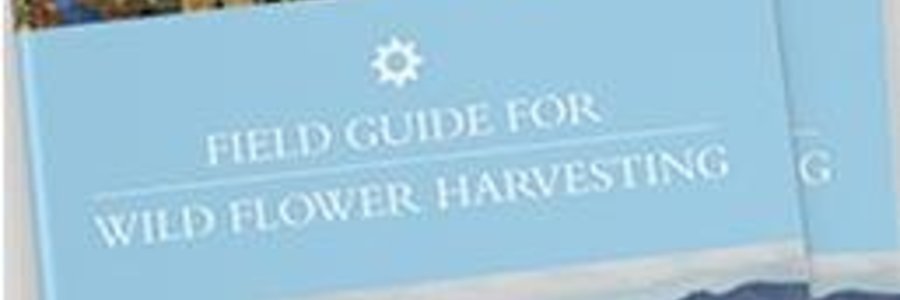 Gansbaai_Fynbos_Field_Guide