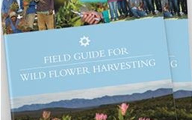 Gansbaai_Fynbos_Field_Guide