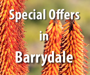Special Offers in Barrydale