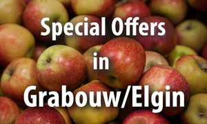 Special Offers in Grabouw/Elgin