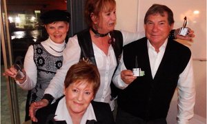 Dans van die Pikkewyne