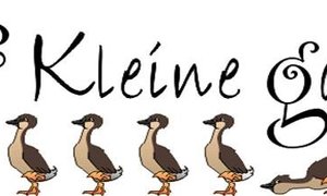 Gansies se Moedersdagwenners