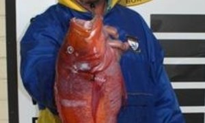 Waypoint 1 Top Boot vir dag