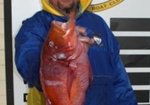 Waypoint 1 Top Boot vir dag