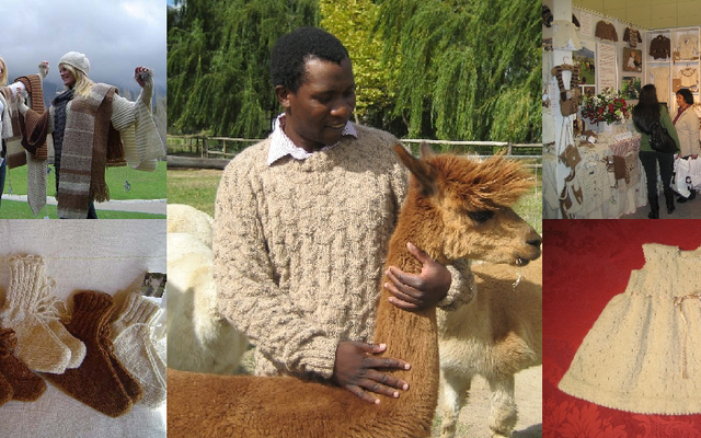 Helderstroom Alpacas Helderstroom Alpacas