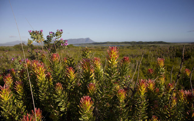 Kogelberg Biosphere Kogelberg Biosphere