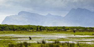 Rooisand Reserve and wild horses