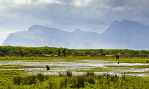10 Colourful Facts about Kleinmond