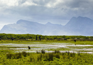 10 Colourful Facts about Kleinmond