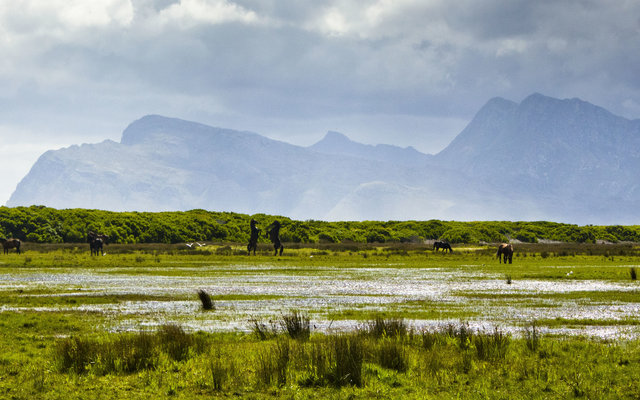 Rooisand Reserve and wild horses Rooisand Reserve and wild horses