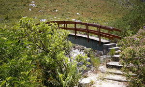 10 Facts We Bet You Didn’t Know about Betty’s Bay