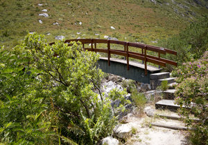 10 Facts We Bet You Didn’t Know about Betty’s Bay