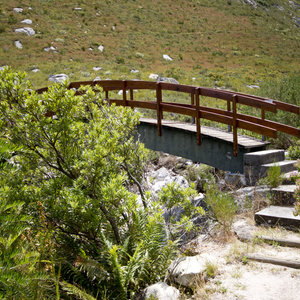 Harold Porter Botanical Gardens