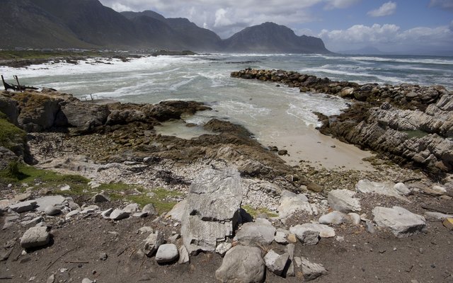 Penguin Colony at Stony Point Penguin Colony at Stony Point