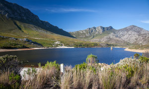 Pretty Cool Facts about Pringle Bay & Rooi Els