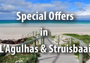 Special Offers in L'Agulhas & Struisbaai