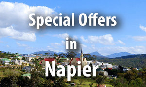 Special Offers in Napier
