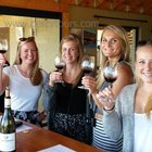 Hermanus - Percy Tours - Wine Tours Hermanus - Percy Tours - Wine Tours