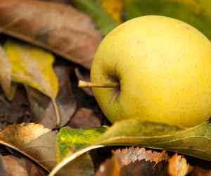 10 Facts about Grabouw & the Elgin Valley