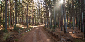 MTB Trails in Grabouw/Elgin