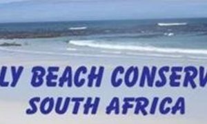 THE WORLDWIDE FOOD WEB