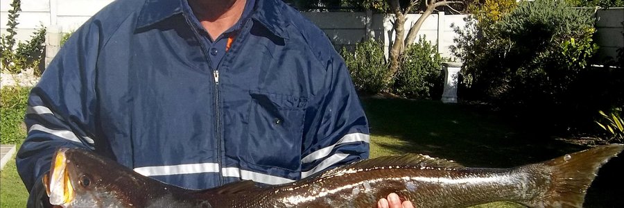 Johan Lubbe het verlede Woensdag hierdie mooi geelbek van 10,4 kg vanaf die boot Releks 11,  sommer so tussen die oulywe, opgetel  --  en dit met ‘n 4-0 hoekie!.