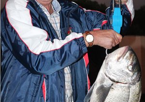 Eldo lag oor sy 7.42kg Mosselkraker