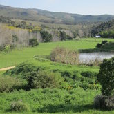 The little dam from Green Cottage