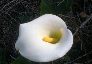 Ons kom dit nie eens altyd agter nie