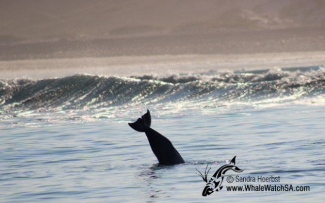 20160608_WW_Trip1_SHoerbst_IMG_048_580x388