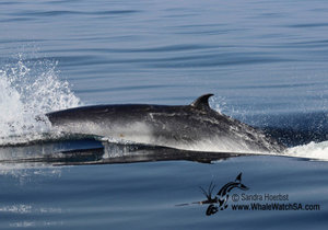 Daily trip - 08 June