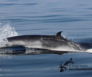 Daily trip - 08 June