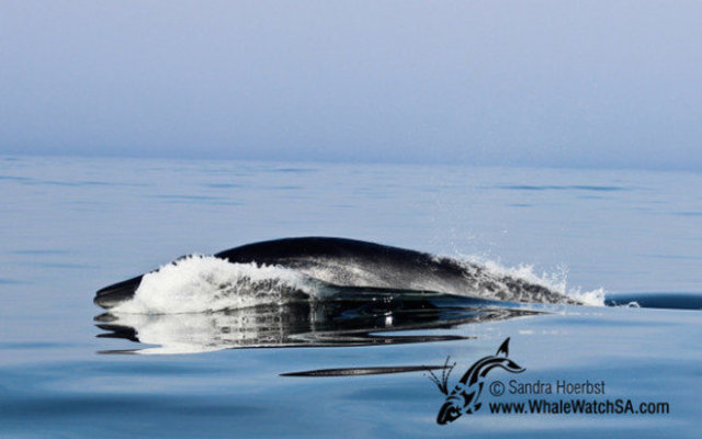 20160608_WW_Trip1_SHoerbst_IMG_191_580x388