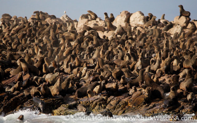 20160618_SF_Trip1_SHoerbst_IMG_103