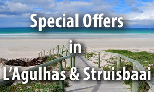Special Offers in L'Agulhas & Struisbaai