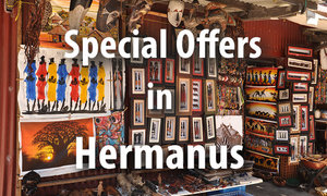 Special Offers in Hermanus