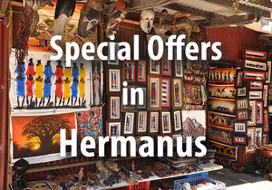 Special Offers in Hermanus