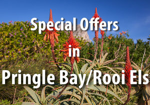 Special Offers in Pringle Bay & Rooi Els