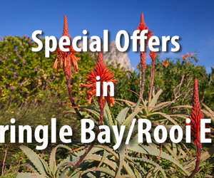 Special Offers in Pringle Bay & Rooi Els
