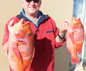 Rooi Romans vir die Wenners