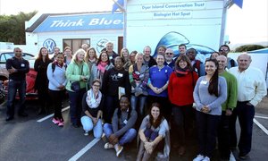 Marine mammel minds meet in Kleinbaai area